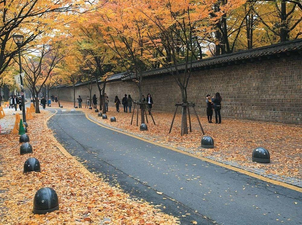 24 Guesthouse Seoul City Hall Экстерьер фото